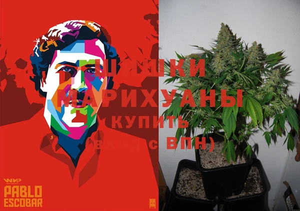 бошки Абаза