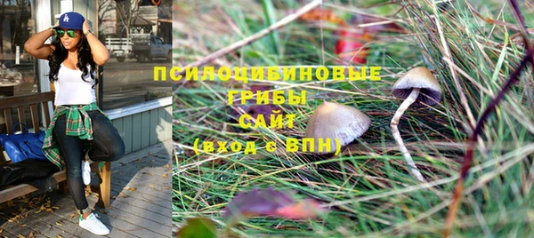 винт Абинск