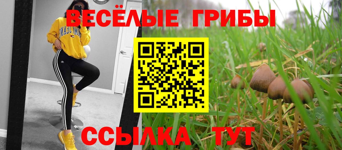 Галлюциногенные грибы прущие грибы  Вход с VPN  Псилоцибиновые грибы Psilocybe  Туапсе 